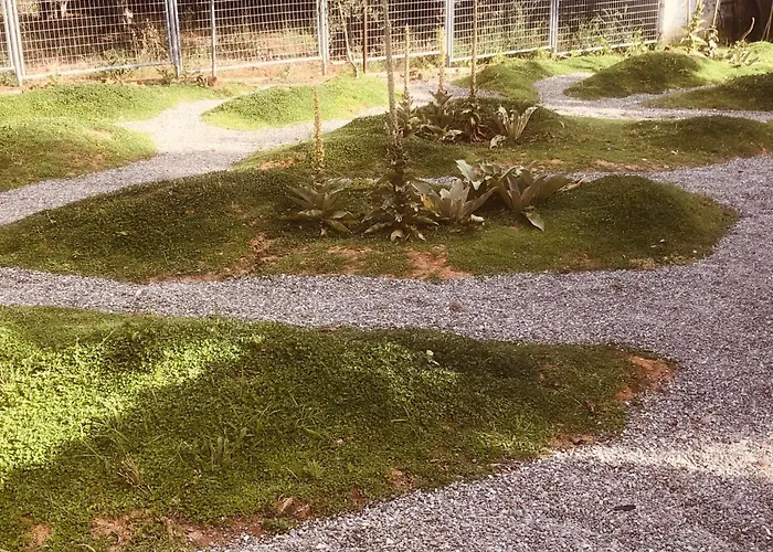 Barreira Beachfront 7 公寓 *