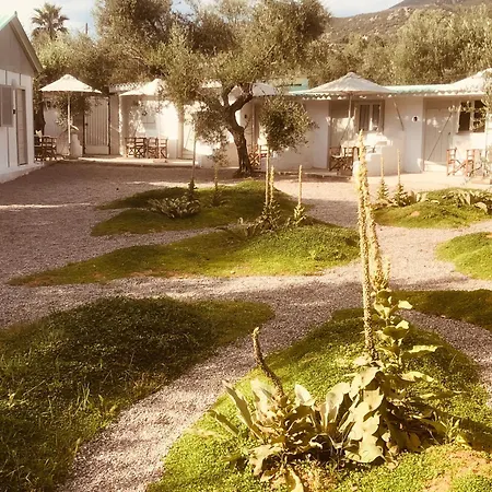 Appartement Barreira Beachfront 7 *