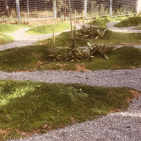 Barreira Beachfront 7 Appartement *