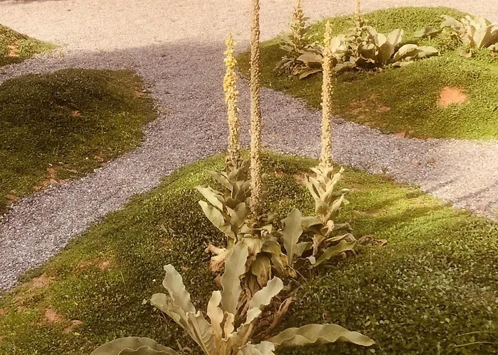 아파트 Barreira Beachfront 7 칼라마타